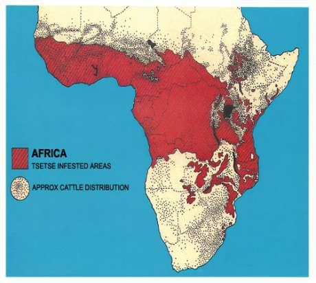tsetse_map500x448